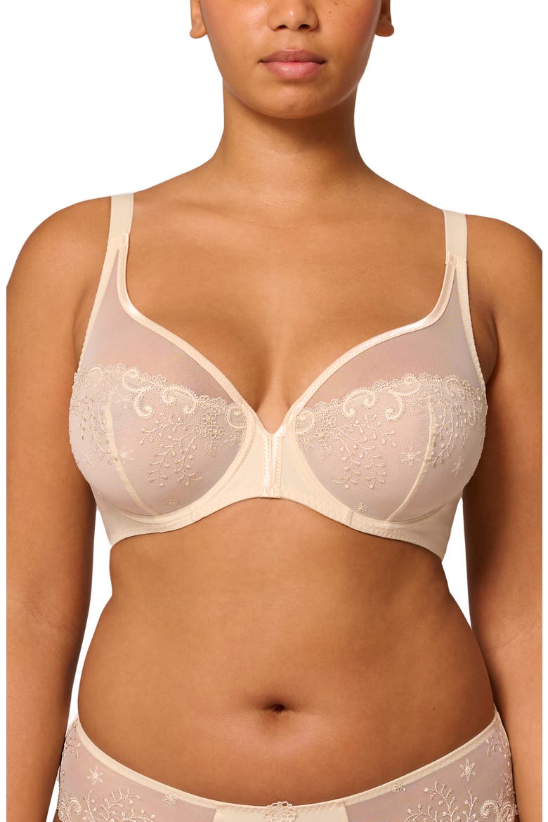 Delice Sheer Underwire Plunge Bra, Alternate, color, TOPAZ BEIGE