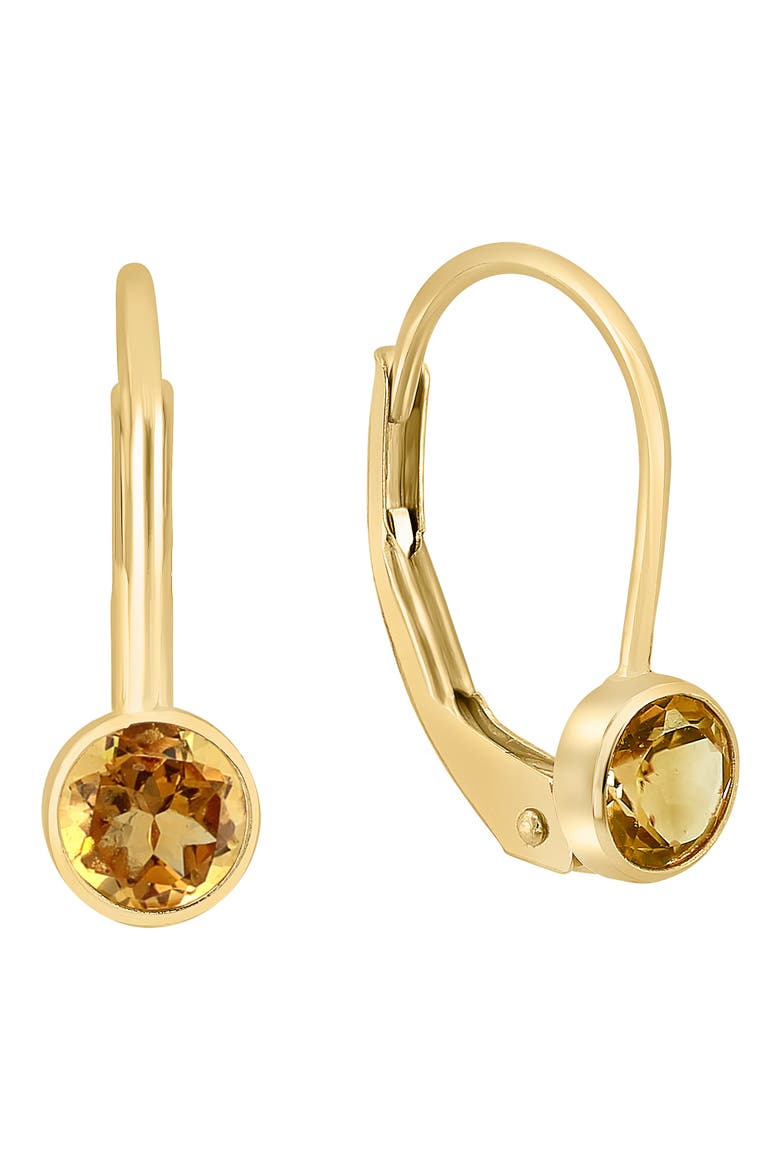 Stone Lever Back Earrings, Main, color, ORANGE