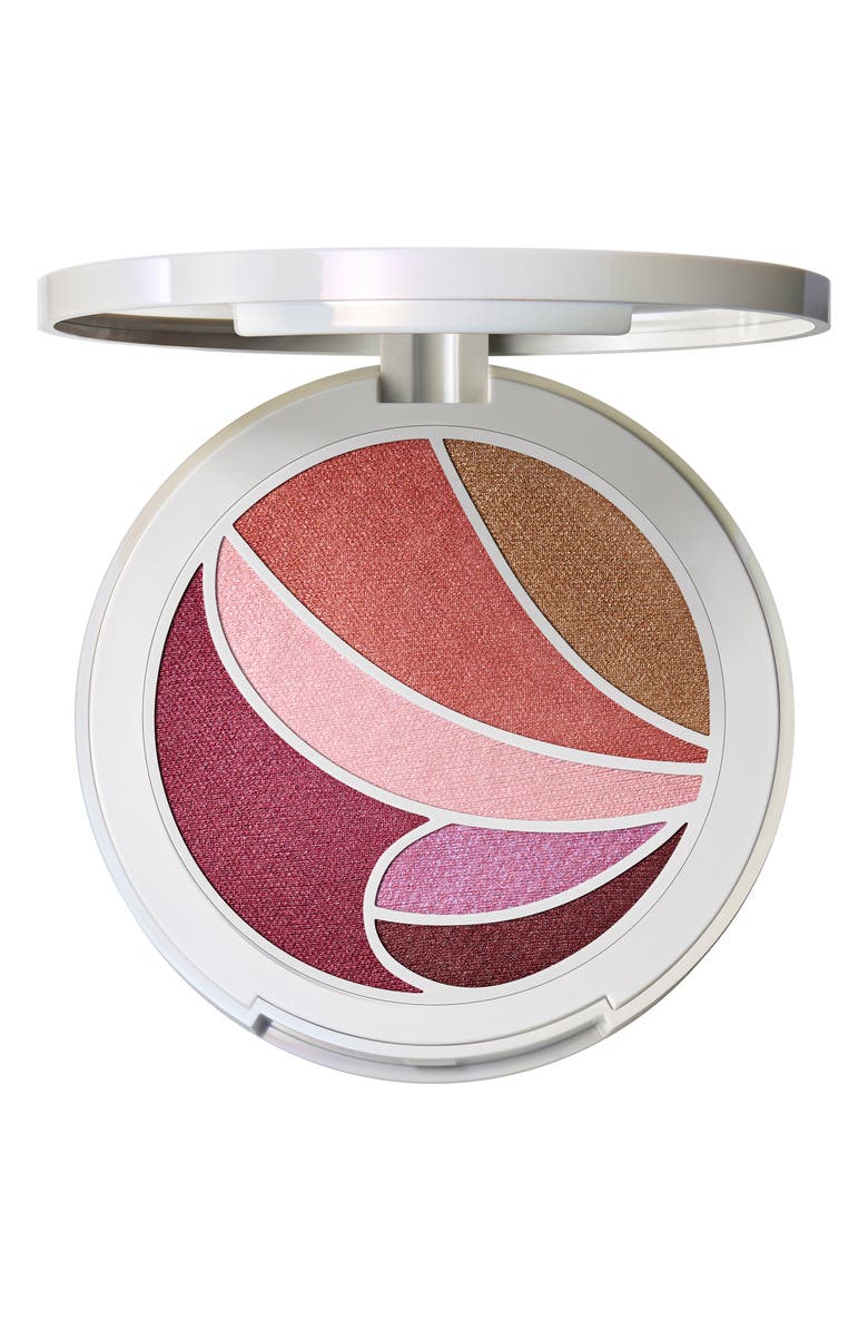 MAC Cosmetics Metamorphosis Face & Eye Palette, Main, color, Daft Pink