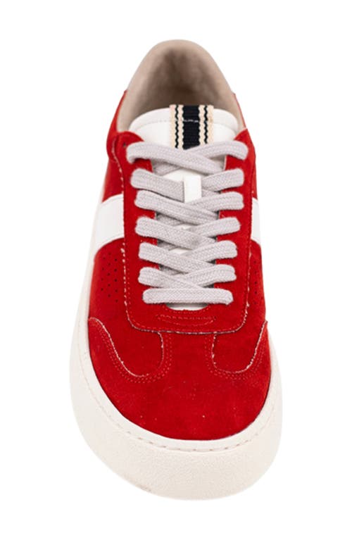 Shushop Stacey Platform Sneaker