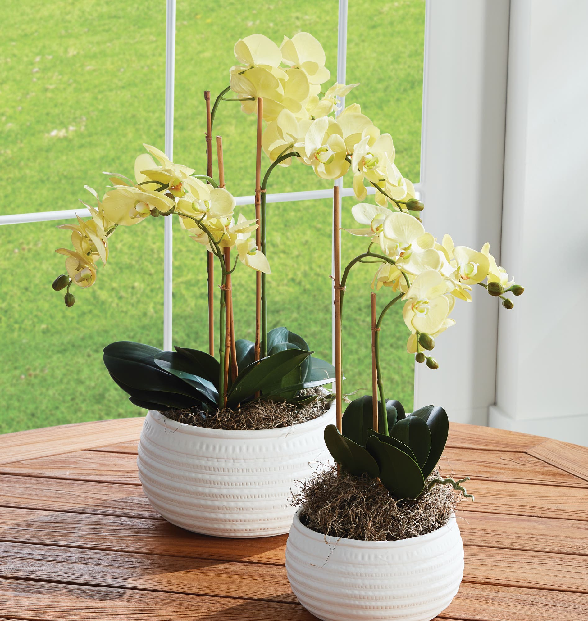 Napa Home & Garden Phalaenopsis Orchid Artificial Plant - Thumbnail 3