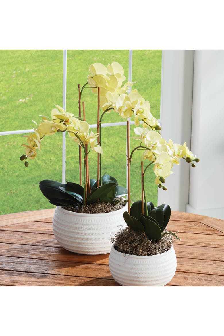 Phalaenopsis Orchid Artificial Plant Drop-In, Alternate, color, Yellow