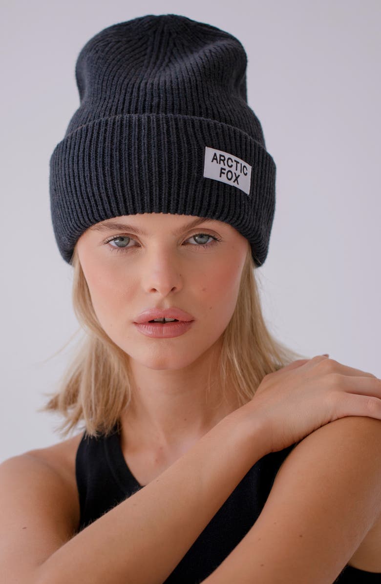 Arctic Fox & Co The Recycled Bottle Beanie, Alternate, color, Black Onyx