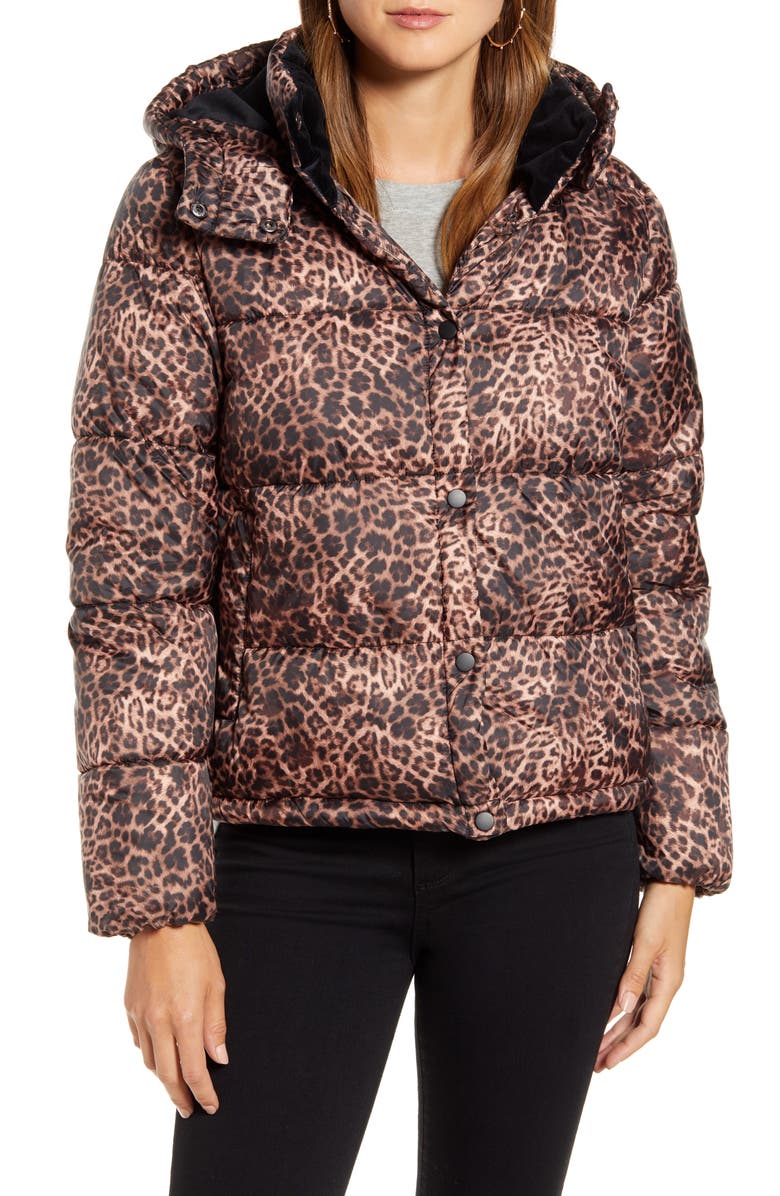 Rachel Parcell Leopard Print Puffer Jacket, Alternate, color,