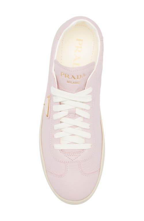 Shop Prada Lane Triangle Logo Deerskin Leather Sneaker In Alabastro