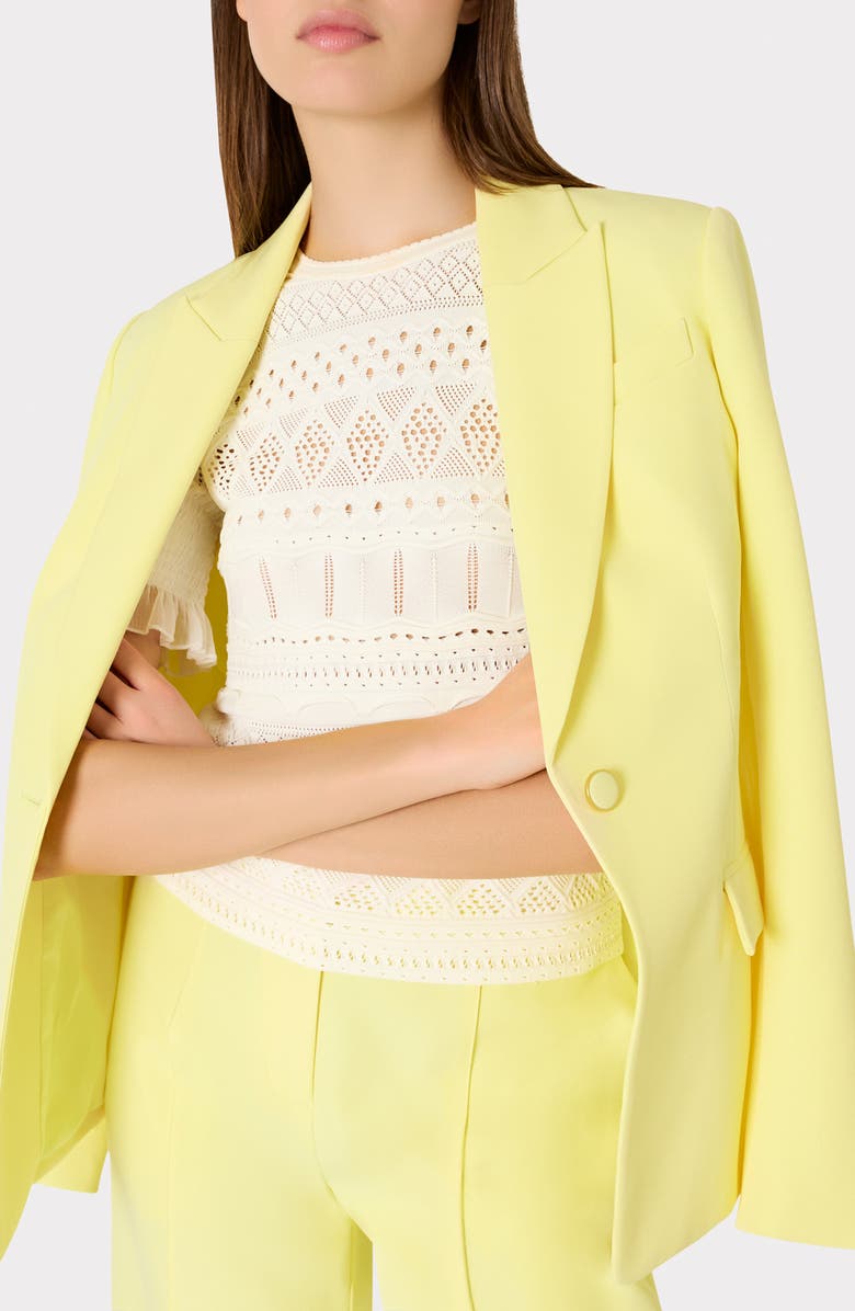 Milly Smocked Pointelle Stitch Sweater, Alternate, color, 