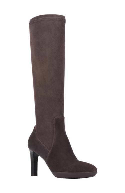 Aquatalia Rhumba Knee High Boot In Dark Brown