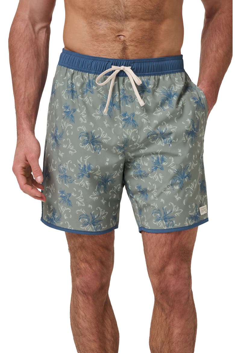 Ocean Opulence Board Shorts, Main, color, SEA SPRAY