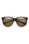 Tortoise / Brown