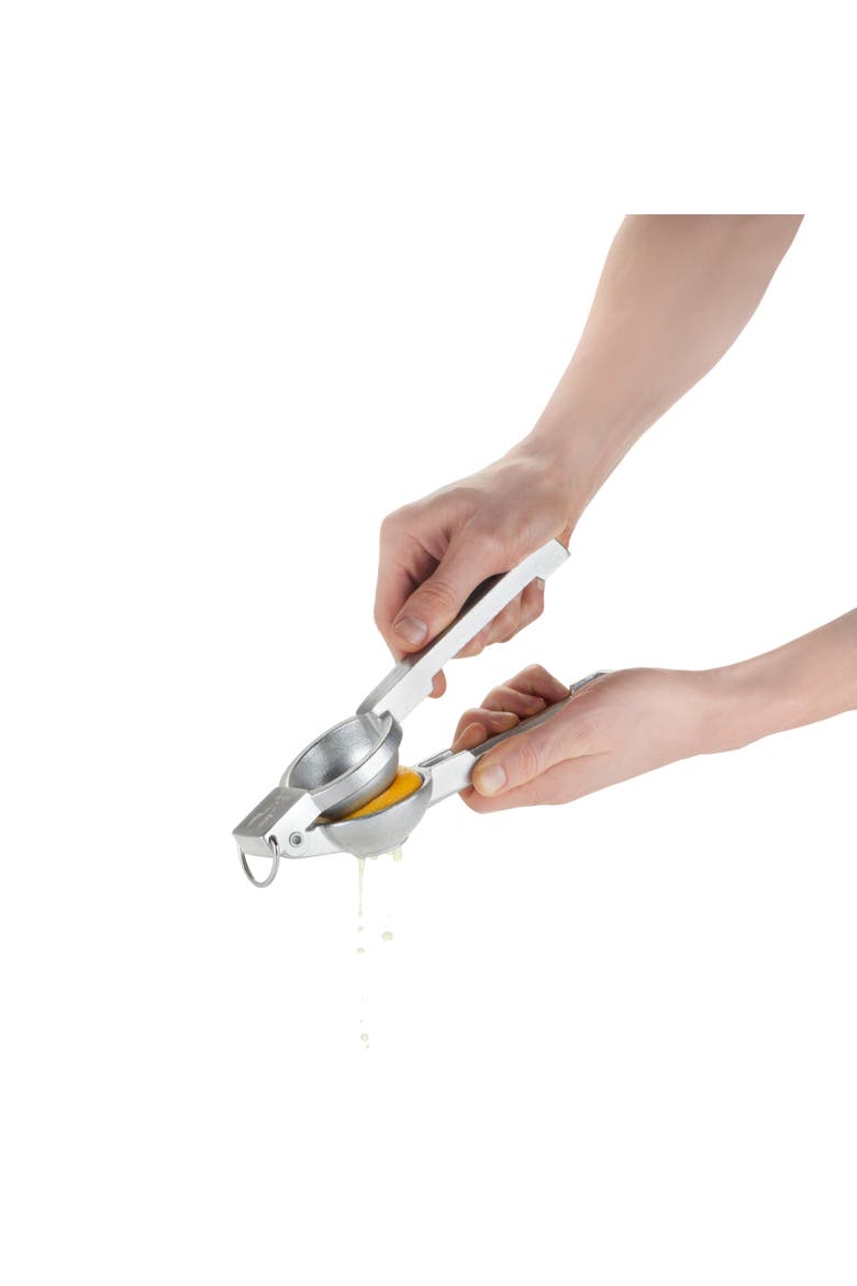 Professional Professional Citrus Juicer, Alternate, color, Silver