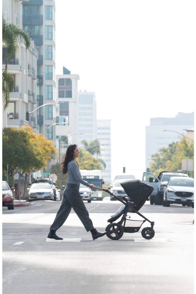 Era Stroller, Alternate, color, BLACK