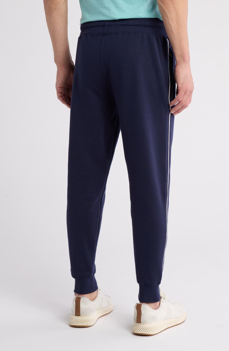 Cotopaxi Organic Cotton Blend Sweatpants, Alternate, color,