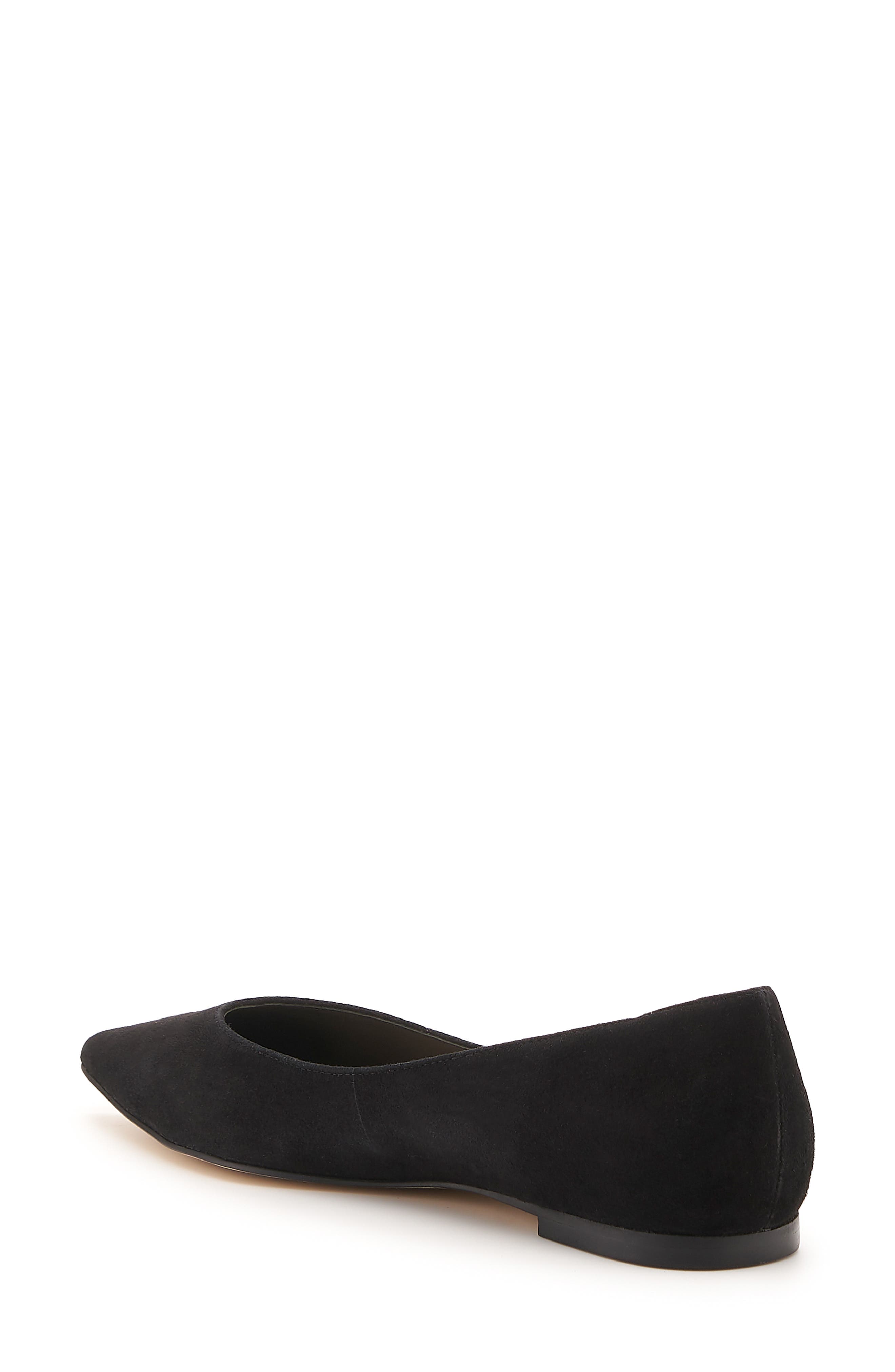 Botkier Annika Pointed Toe Flat, Alternate, color, 