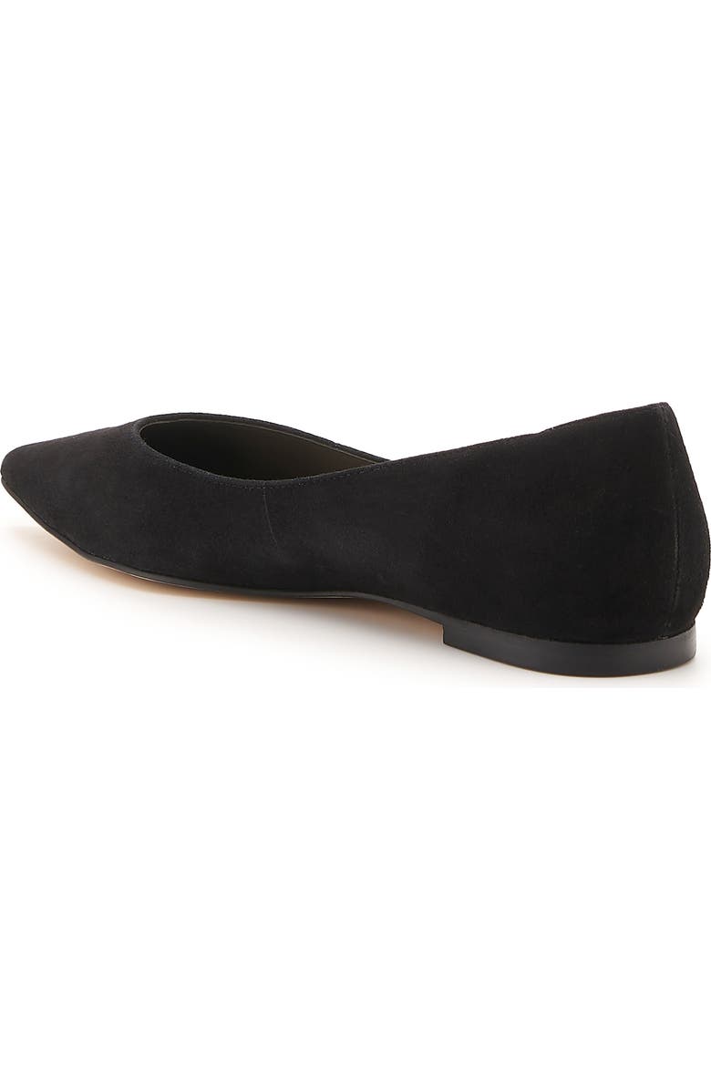 Botkier Annika Pointed Toe Flat, Alternate, color,