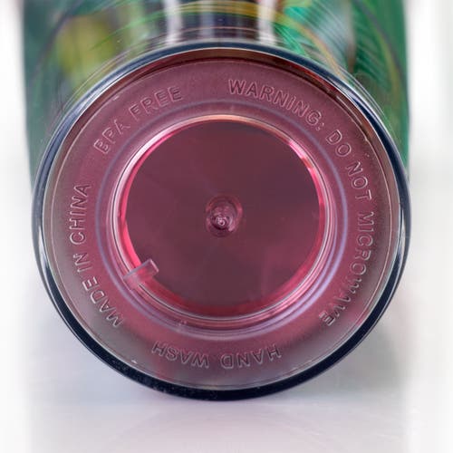 Gibson Home Tropical Bird 4 Piece 23.6 Ounce Double Wall Tumbler Set With Straw In Green