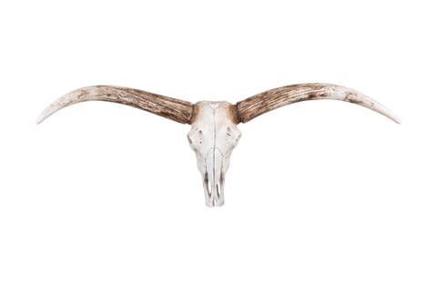 Resin Steer Skull Wall Décor