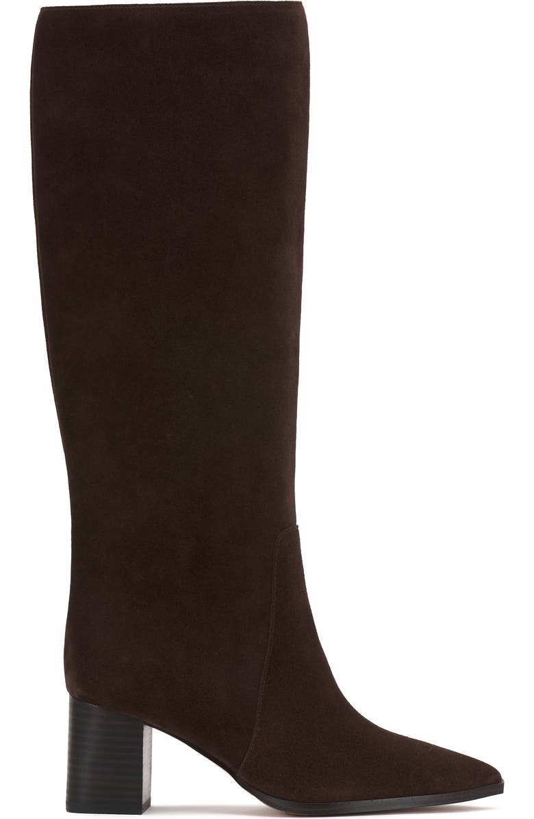 Vince Camuto Lumina Pointed Toe Boot, Alternate, color, Brownie Verona