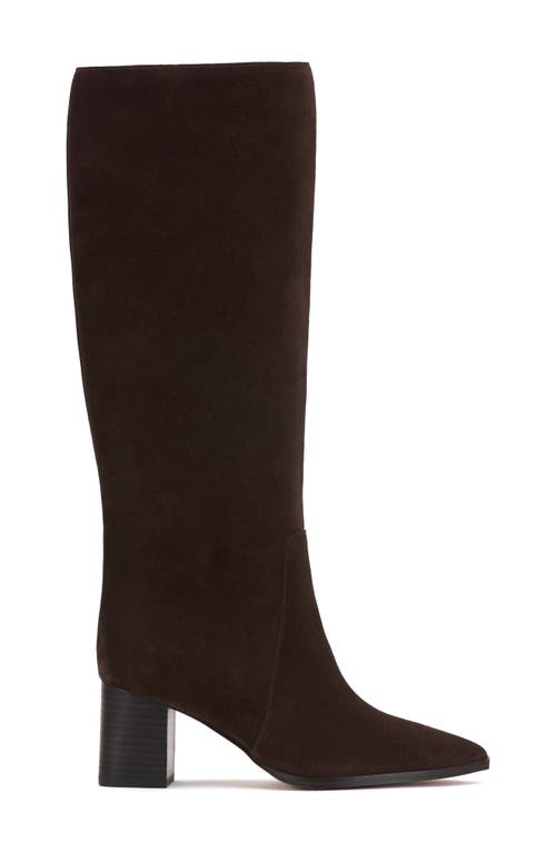 Vince Camuto Lumina Pointed Toe Boot