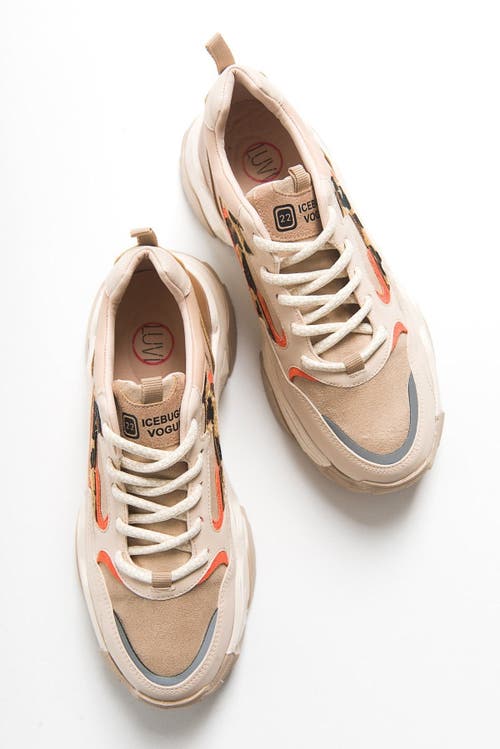 Prologue Shoes Europa Sneakers In Brown