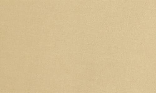 Polo Ralph Lauren Toddler And Little Boys Stretch Shorts In Coastal Beige