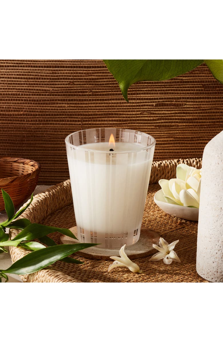 NEST New York Bamboo Classic Candle, Alternate, color,