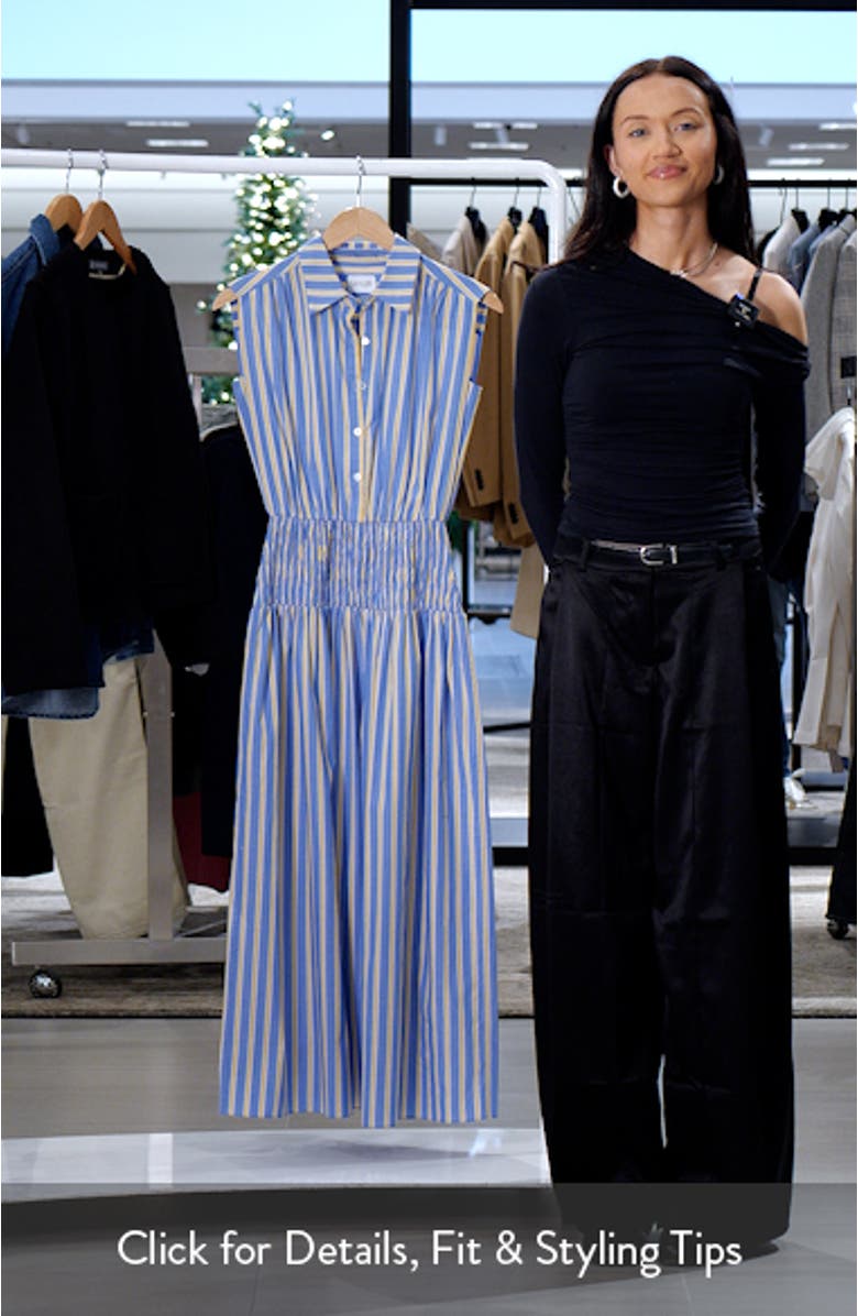 Edna Stripe Cotton Poplin Shirtdress, sales video thumbnail