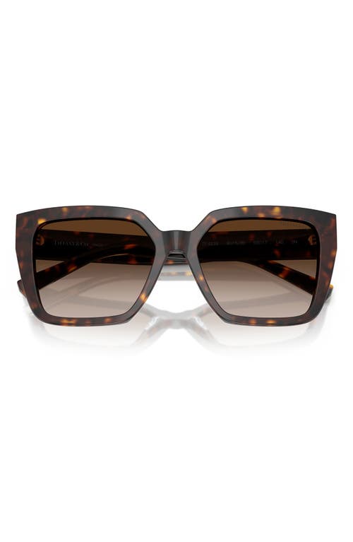 Tiffany & Co . 55mm Gradient Square Sunglasses In Brown