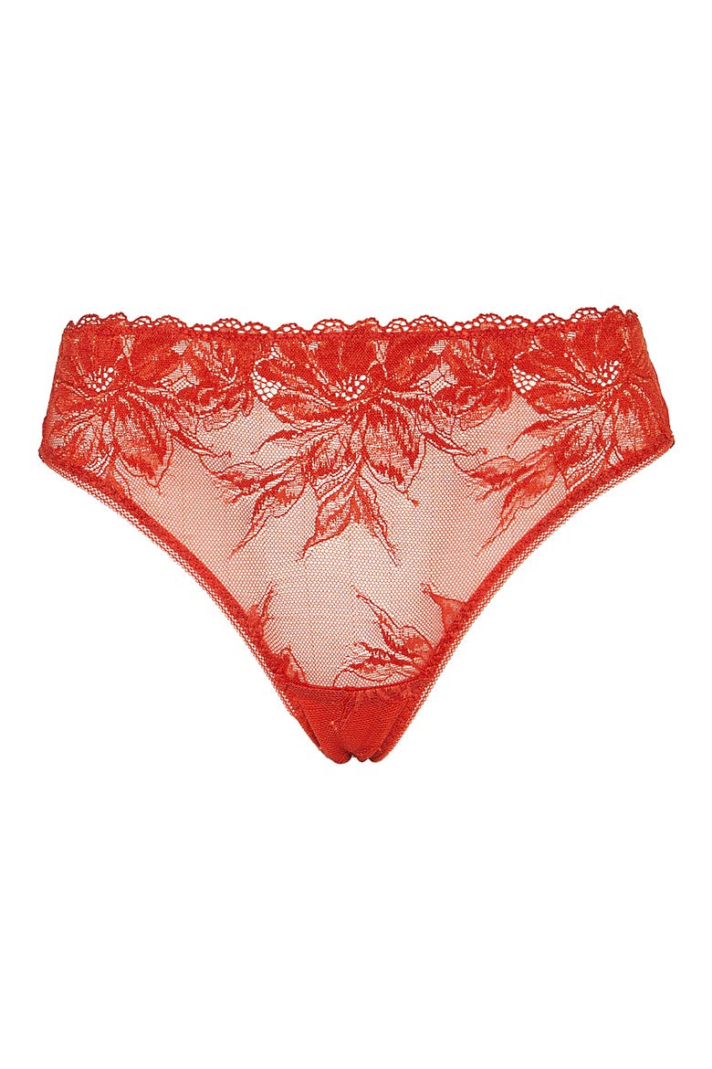 Brandy Bikini Briefs, Alternate, color, BRICK