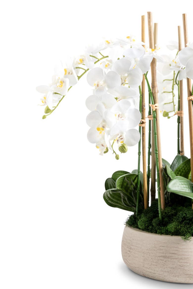 Briar RealTouch Orchid Arrangement, Alternate, color, Snow