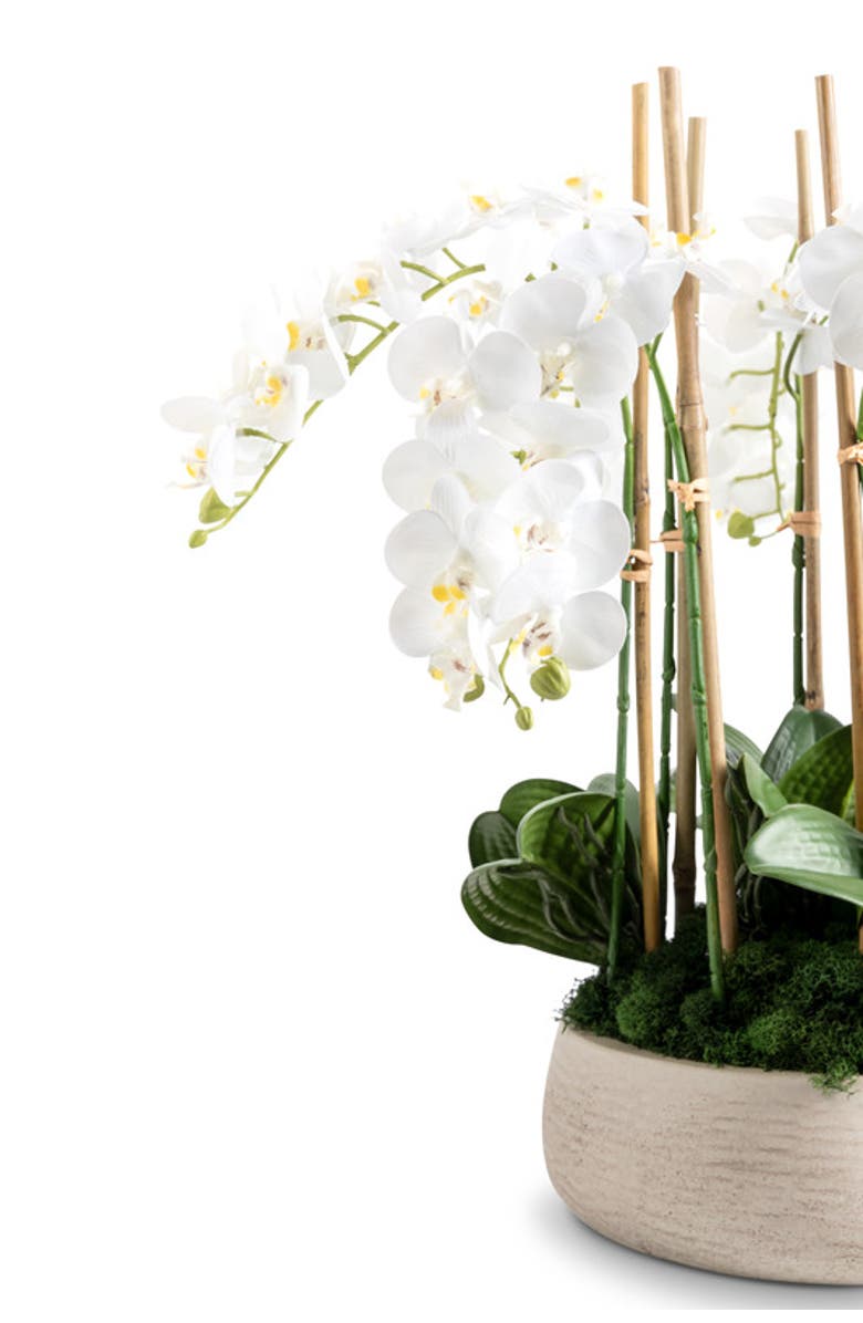 CocoBella Briar RealTouch Orchid Arrangement, Alternate, color, Snow