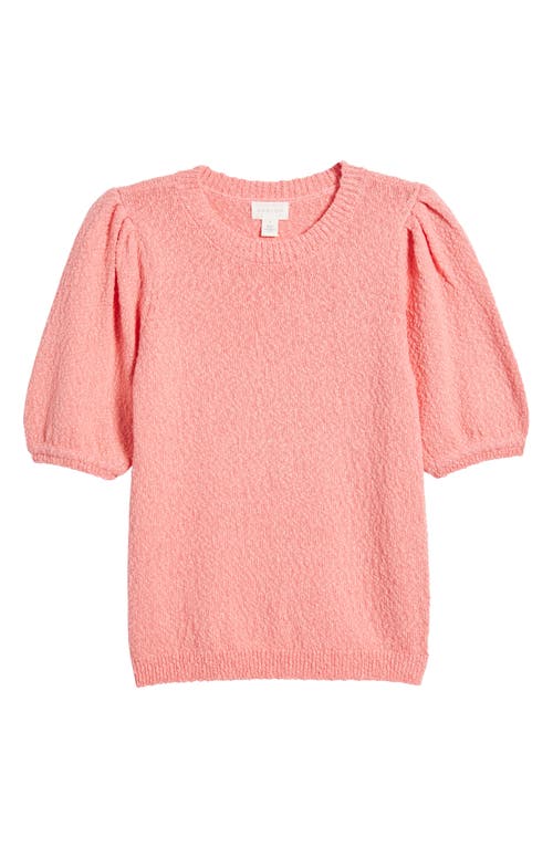 Shop Caslonr Caslon(r) Novelty Short Sleeve Cotton Sweater In Pink Geranium