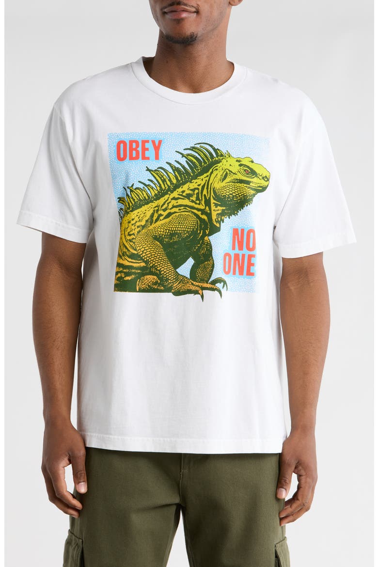 No One Reptile Graphic T-Shirt, Main, color, PIGMENT VINTAGE WHITE
