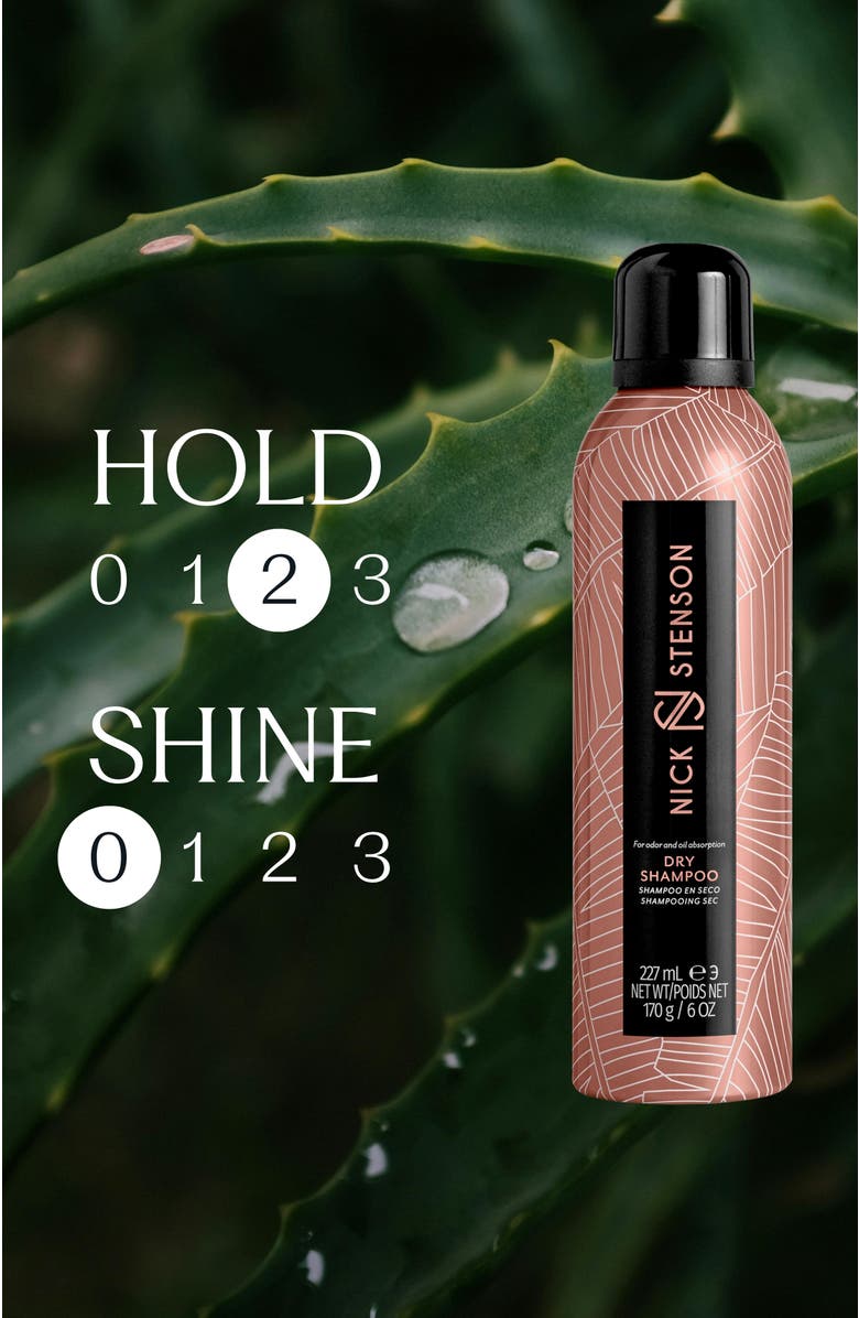 Nick Stenson Beauty Dry Shampoo, Alternate, color, NO COLOR