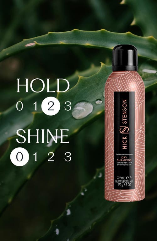 Nick Stenson Beauty Dry Shampoo
