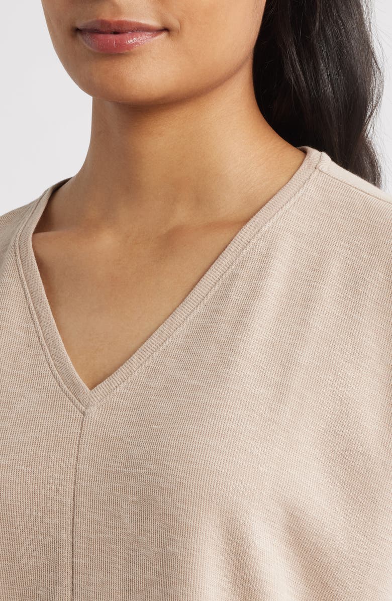 Eileen Fisher V-Neck Organic Cotton Crewneck T-Shirt, Alternate, color, Wheat