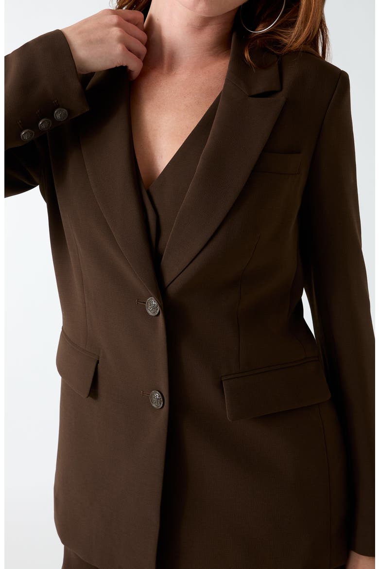 Theoline Perfect Blazer, Alternate, color, MEDIUM BROWN
