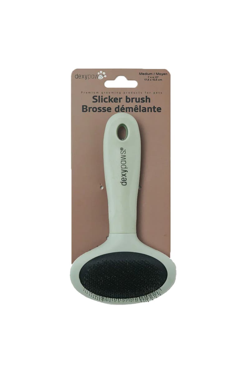 Dexypaws Slicker Brush, Medium, Sage Green, Dog & Cat Grooming Tool, Main, color, Green