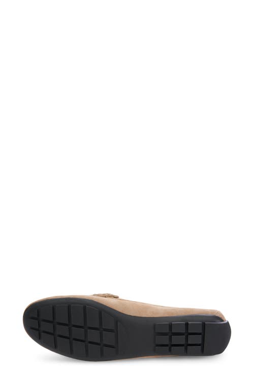 Vaneli Aiker Driving Loafer In Taupe Suede