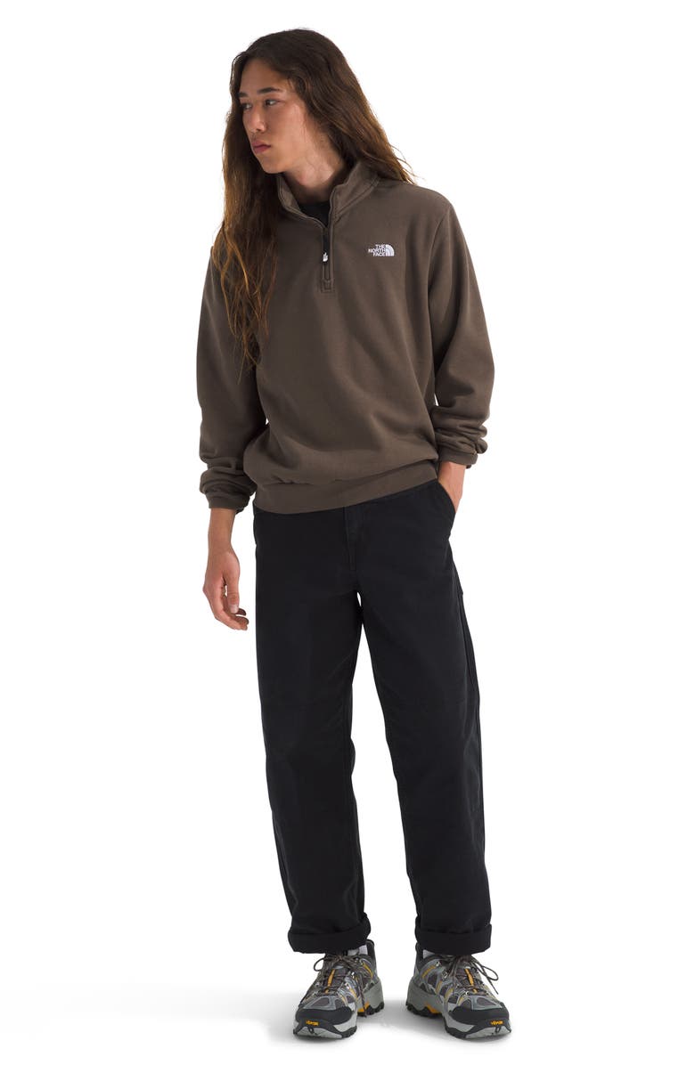 The North Face Evolution Quarter Zip, Alternate, color, Smokey Brown