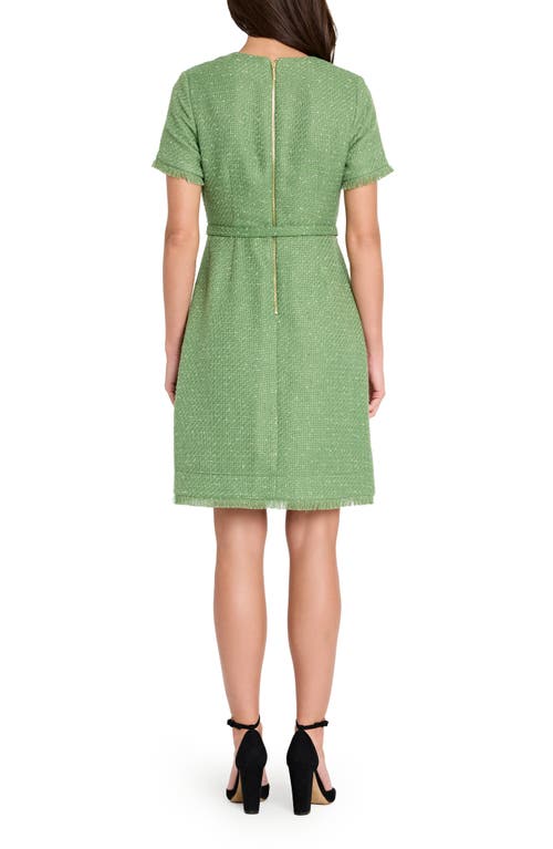 Tahari Asl Fray Bouclé Dress In Green