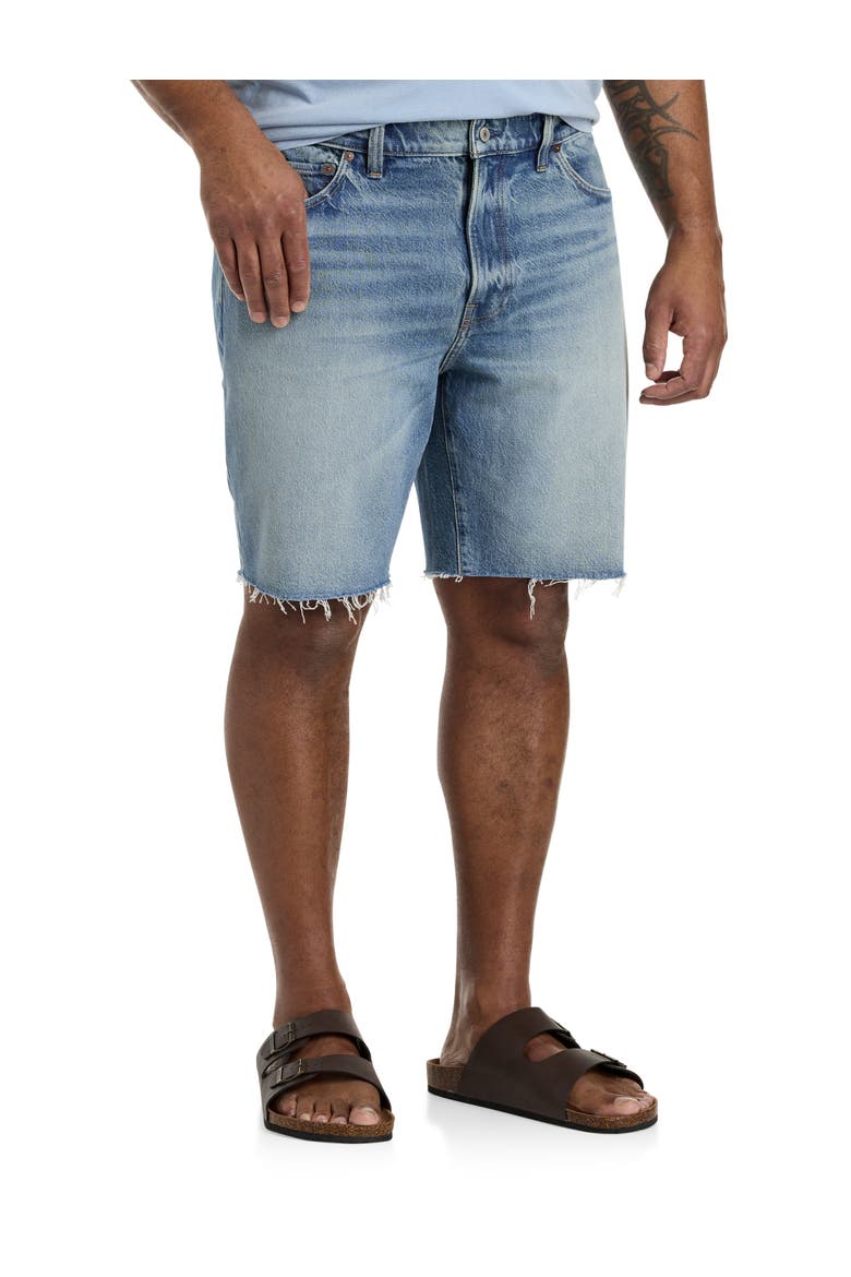 Big & Tall Abbott Denim Shorts, Main, color, ABBOTT