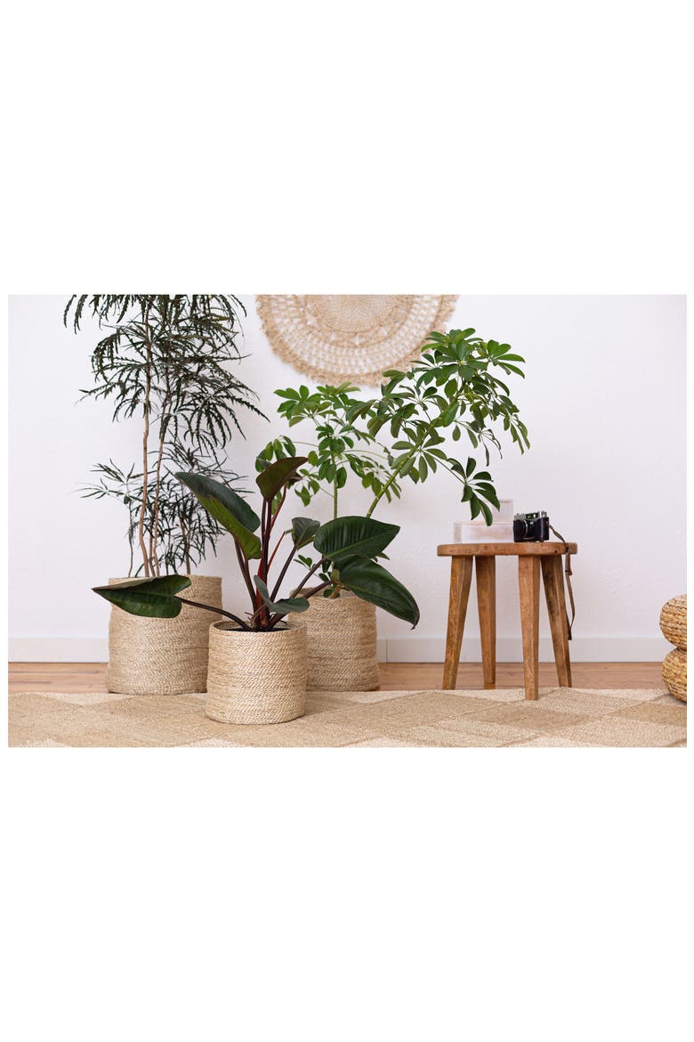 Set of 3 Round Jute Baskets, Alternate, color, NATURAL