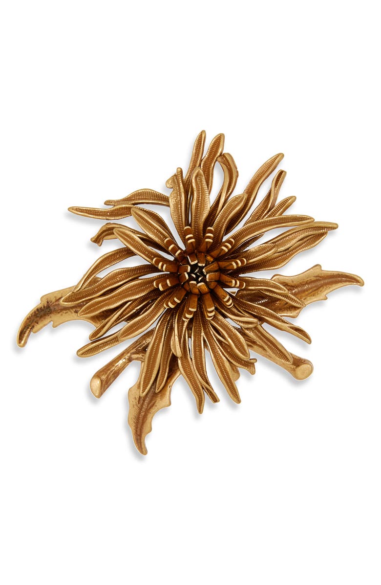 Cult Gaia Octavia Brooch, Main, color, Antique Brass