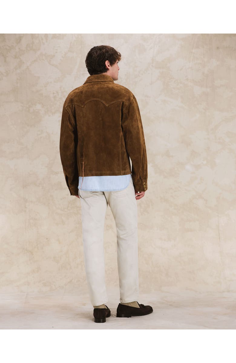 Fortela Buzz Suede Leather Jacket, Alternate, color, Brown
