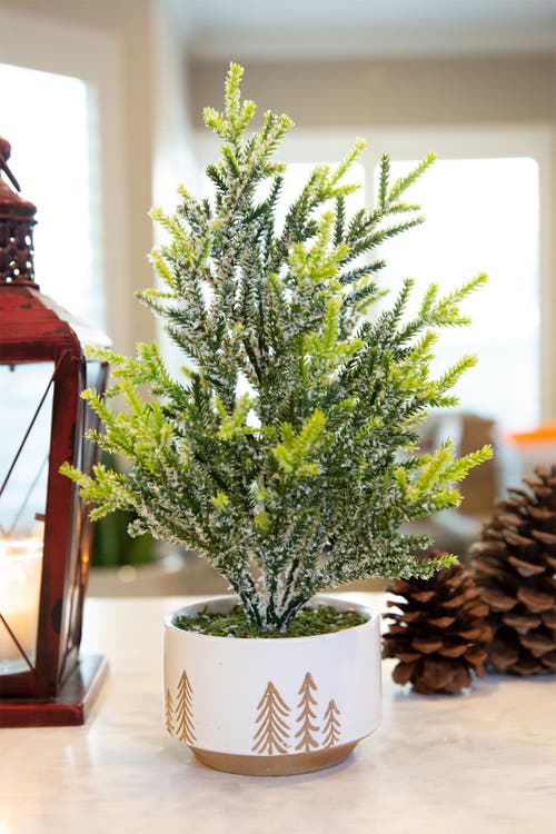 Flora Bunda 11.5in Frosted Xmas Tree In 4in Reversed Bowl Pot In Green
