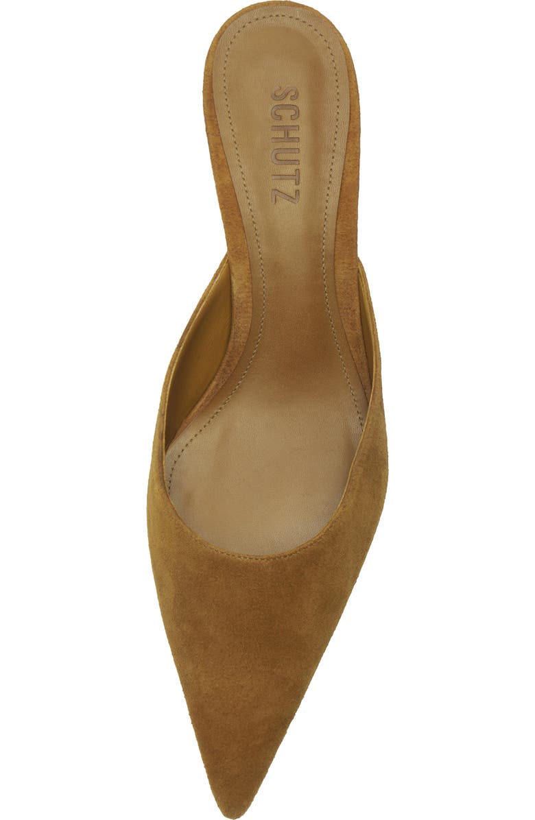 Schutz Julie Pointed Toe Mule, Alternate, color,