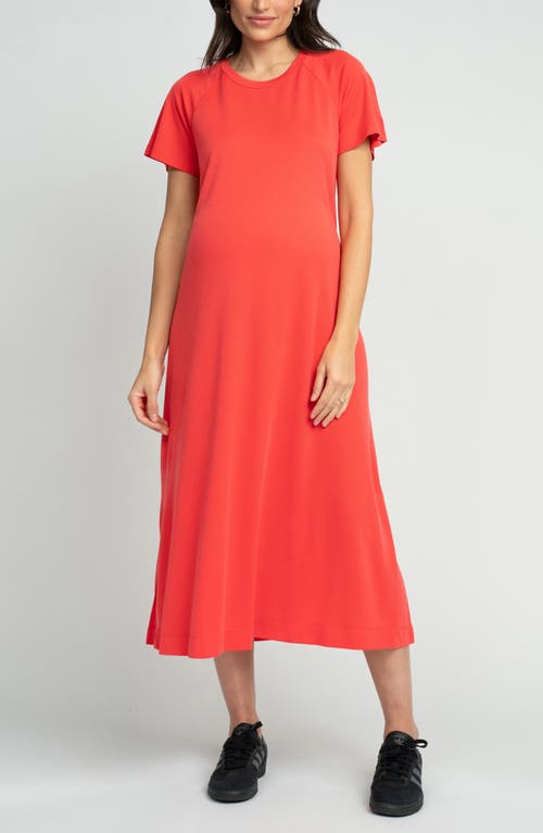 Shop Seraphine Maternity T-shirt Dress In Coral
