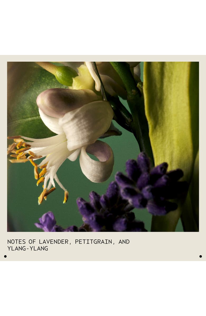 Aveda Abundant Blowout All-Over Volumizing Spray, Alternate, color, 