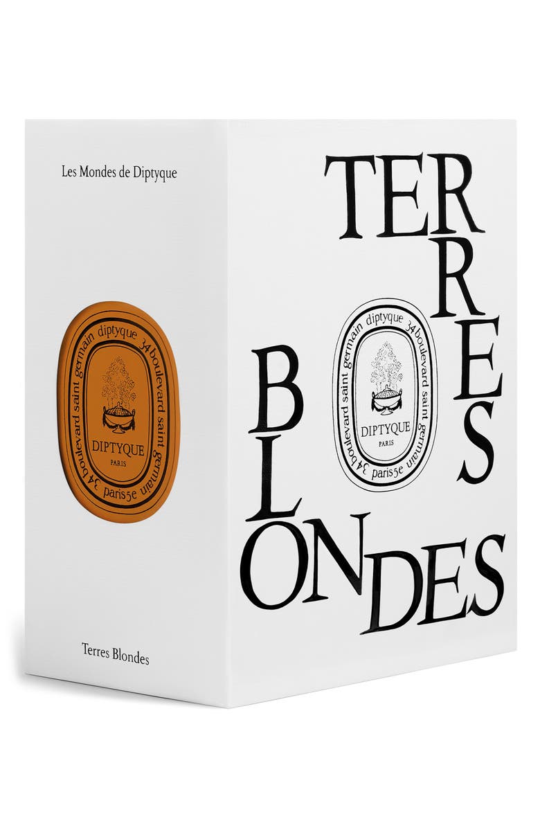 Diptyque Terres Blondes Refillable Candle, Alternate, color, Regular