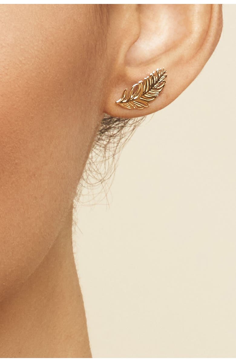 Oradina 14K Gold Fine as A Feather Studs Earrings, Alternate, color, Yellow Gold